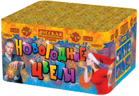 Новогодние цветы Фейерверк купить в Чудово | chudovo.salutsklad.ru