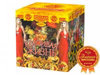 Красивая жизнь Фейерверк купить в Чудово | chudovo.salutsklad.ru