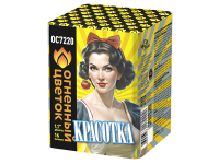 Красотка Батарея салютов купить в Чудово | chudovo.salutsklad.ru