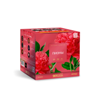 Пионы Салют купить в Чудово | chudovo.salutsklad.ru