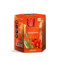 Тюльпаны Салют купить в Чудово | chudovo.salutsklad.ru
