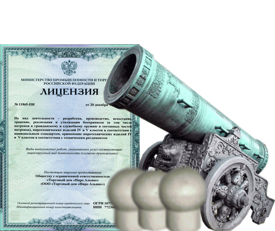 Заказать фейерверк на Новый Год - салют в Чудово