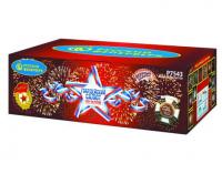 Гвардейский салют Салют купить в Чудово | chudovo.salutsklad.ru