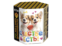 Счастье есть! Салют купить в Чудово | chudovo.salutsklad.ru