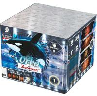 Косатка Фейерверк купить в Чудово | chudovo.salutsklad.ru