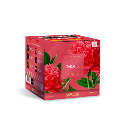 Пионы Салют купить в Чудово | chudovo.salutsklad.ru
