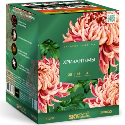 Хризантемы Фейерверк купить в Чудово | chudovo.salutsklad.ru