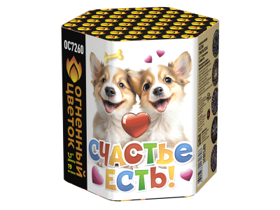 Счастье есть! Салют купить в Чудово | chudovo.salutsklad.ru