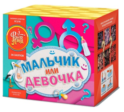 Мальчик или девочка М Фейерверк купить в Чудово | chudovo.salutsklad.ru